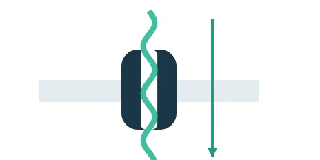 An individual DNA strand passes through a nanopore